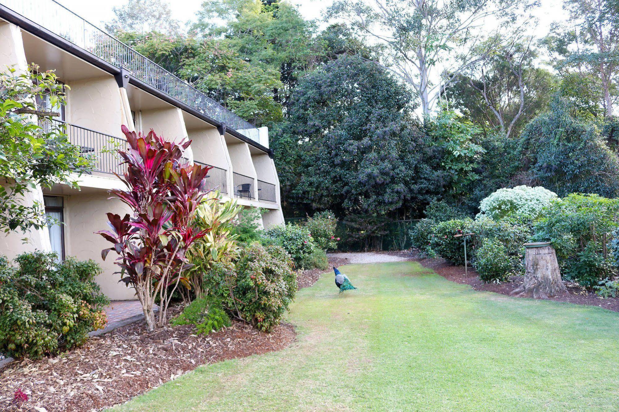 The Tamborine - Boutique Hotel Mount Tamborine Exteriör bild